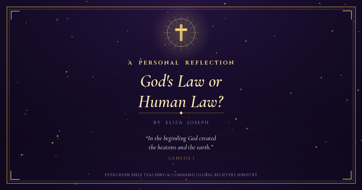 Violet and gold featured image with a radiant gold cross, the title "God's Law or Human Law?", byline "By Eliza Joseph," and the opening verse of Genesis 1.